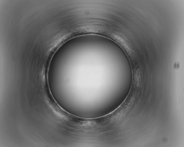 X0000090920398200708131437