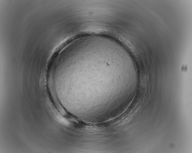 X0000090920399200708131437