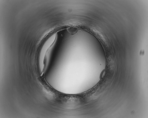 X0000090920400200708131437