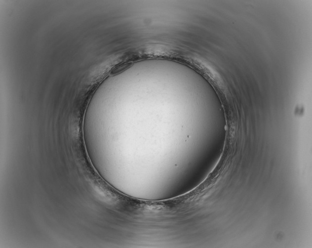 X0000090920401200708131437