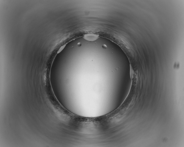 X0000090920404200708131437