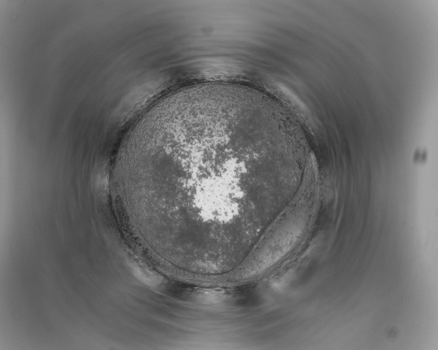 X0000090920405200708131437