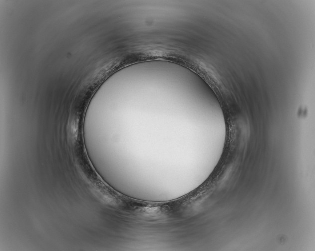 X0000090920406200708131437