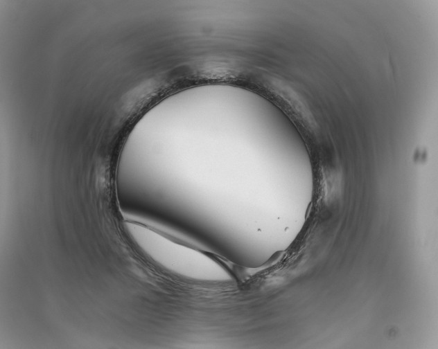 X0000090920407200708131437