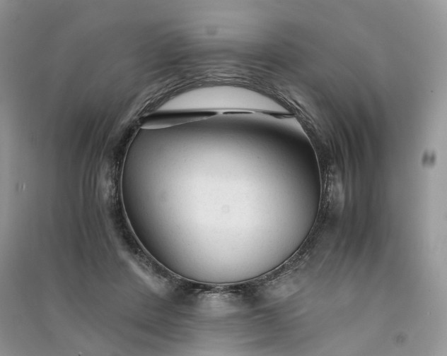 X0000090920408200708131437