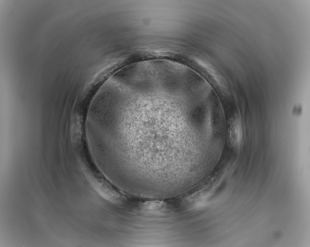 X0000090920410200708131437