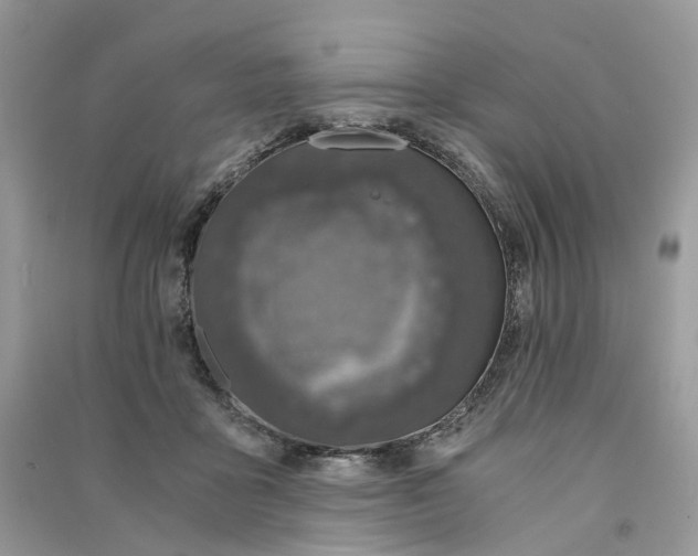 X0000090920411200708131437