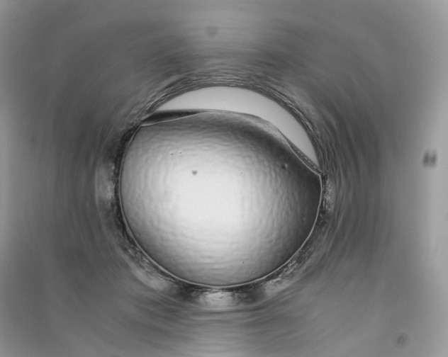 X0000090920413200708131437