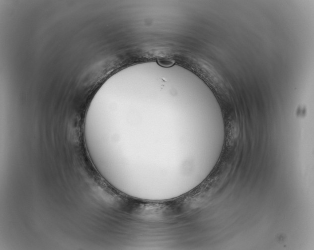 X0000090920414200708131437