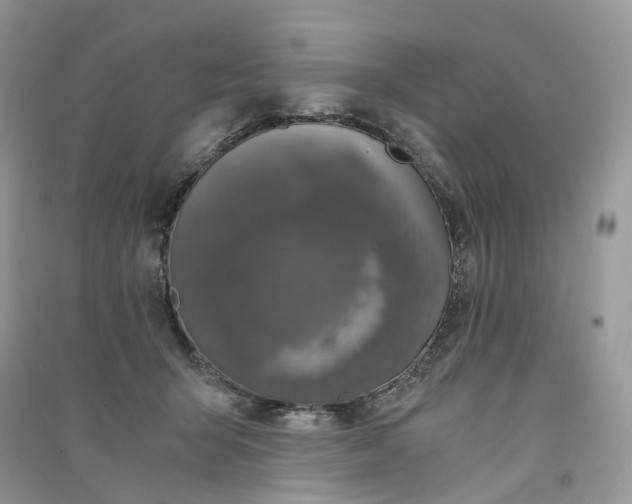 X0000090920415200708131437