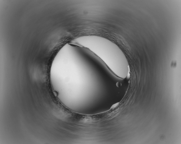 X0000090920416200708131437