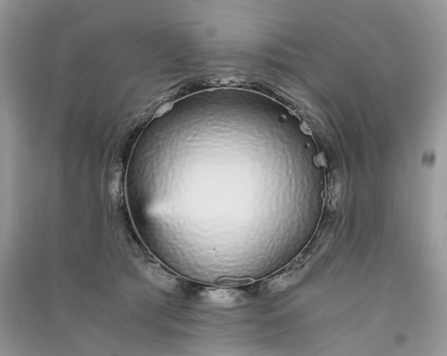 X0000090920417200708131437