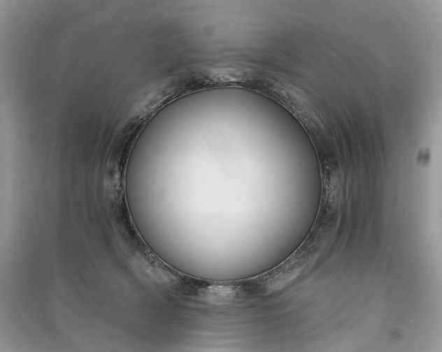 X0000090920418200708131437