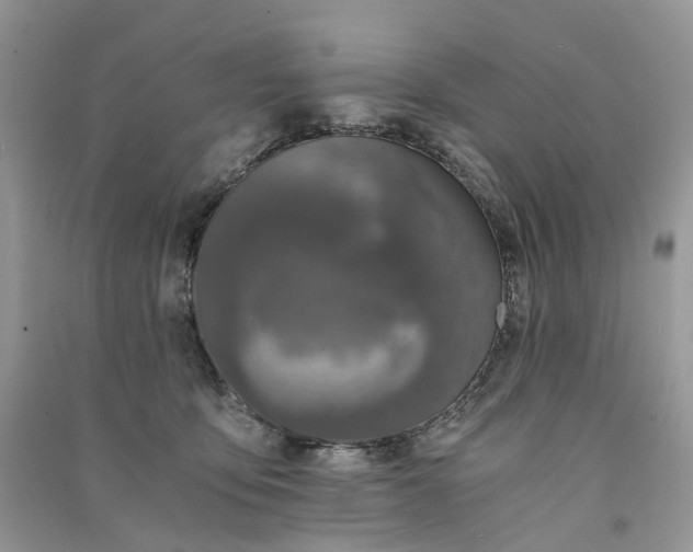 X0000090920419200708131437