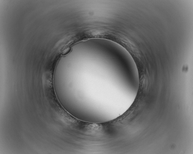 X0000090920421200708131437