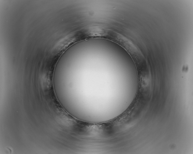 X0000090920422200708131437