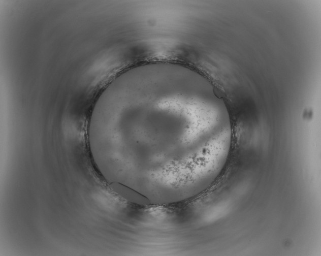 X0000090920423200708131437