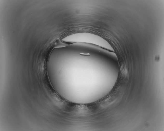 X0000090920424200708131437