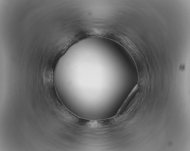 X0000090920425200708131437