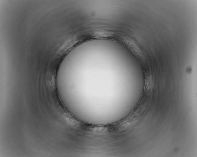 X0000090920426200708131437