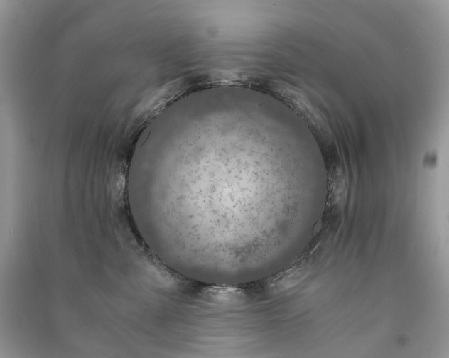 X0000090920427200708131437