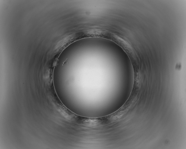 X0000090920428200708131437