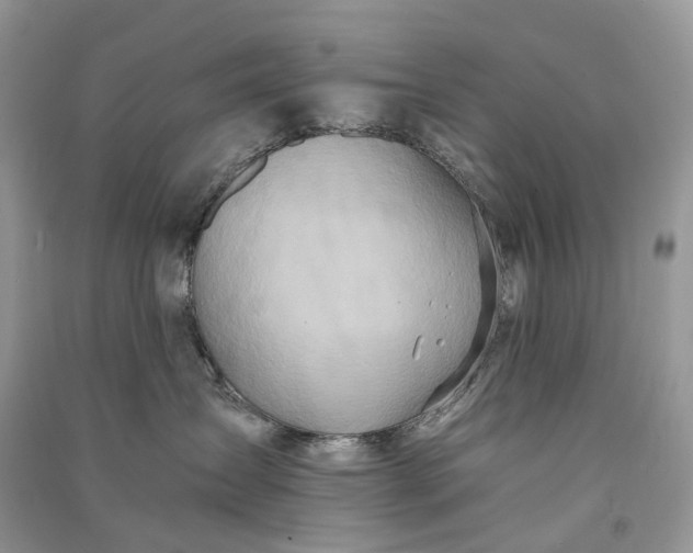 X0000090920431200708131437