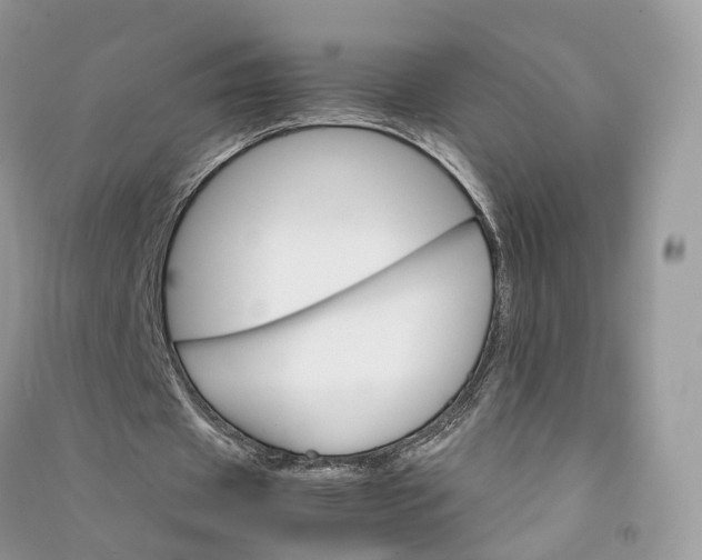 X0000090920433200708131436