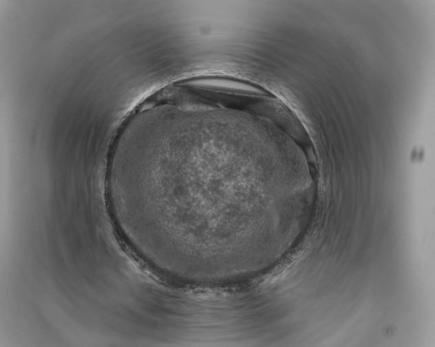 X0000090920434200708131436