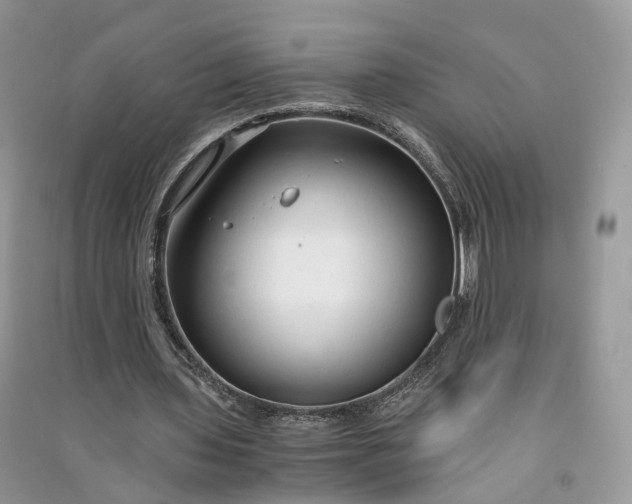 X0000090920435200708131436