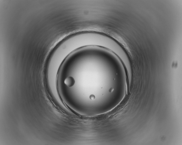 X0000090920436200708131436