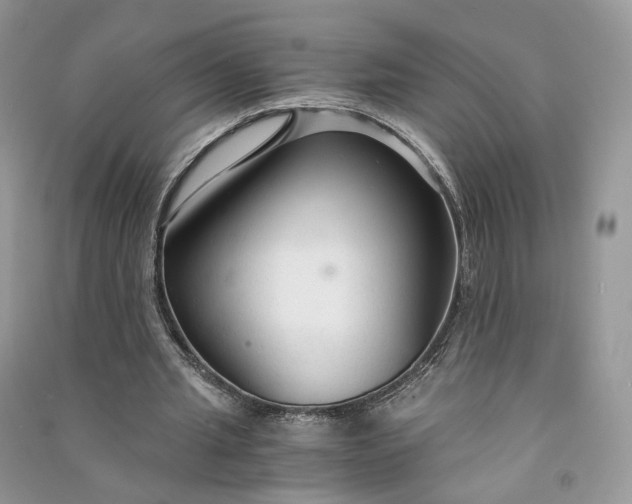 X0000090920437200708131436