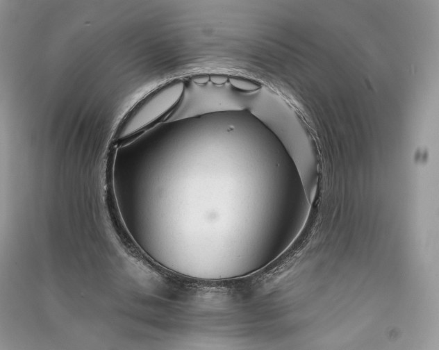 X0000090920438200708131436