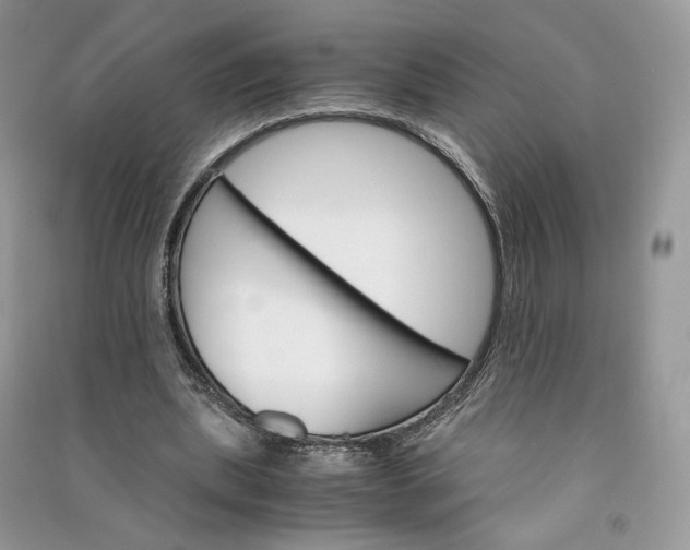 X0000090920439200708131436