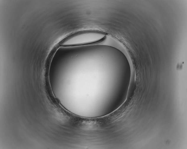 X0000090920440200708131436