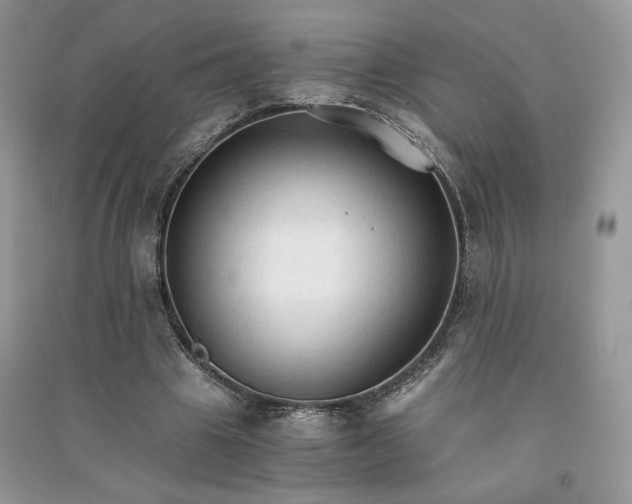 X0000090920441200708131436