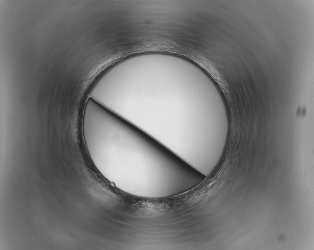 X0000090920442200708131436