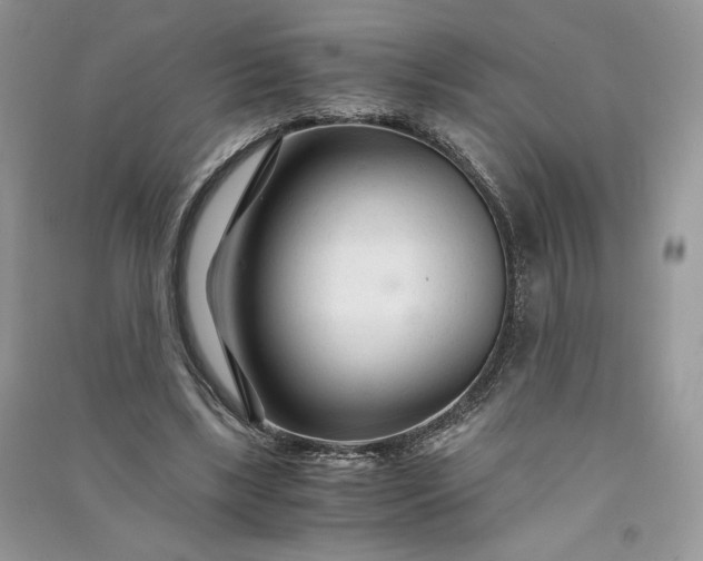 X0000090920443200708131436