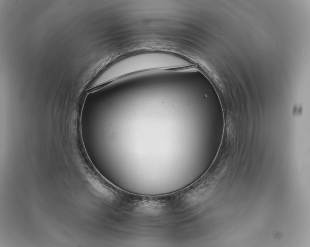 X0000090920445200708131436