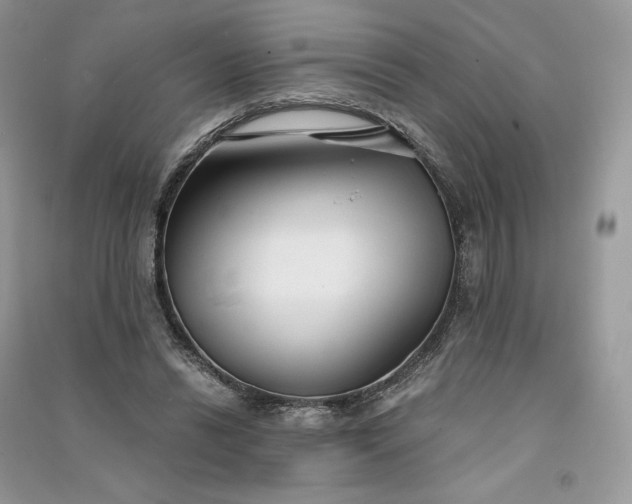 X0000090920446200708131436