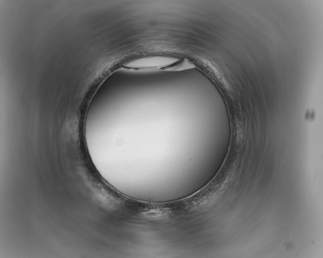 X0000090920447200708131436