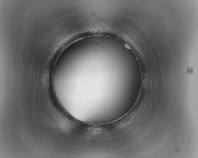 X0000090920448200708131436