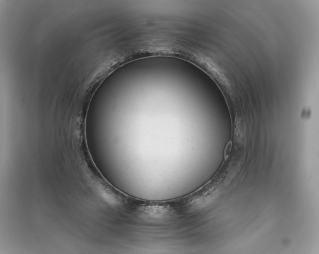 X0000090920449200708131436