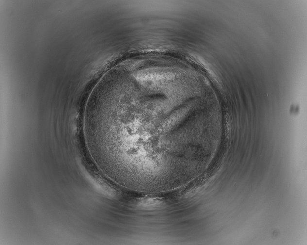 X0000090920451200708131436