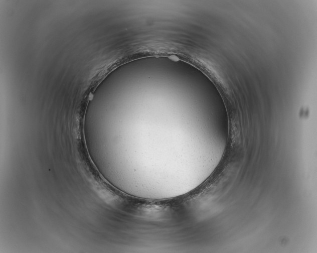 X0000090920453200708131436