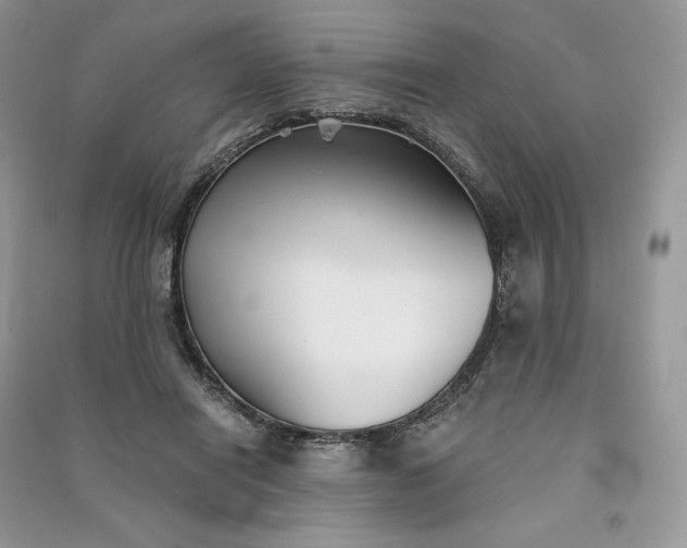 X0000090920454200708131436