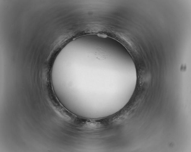 X0000090920455200708131436