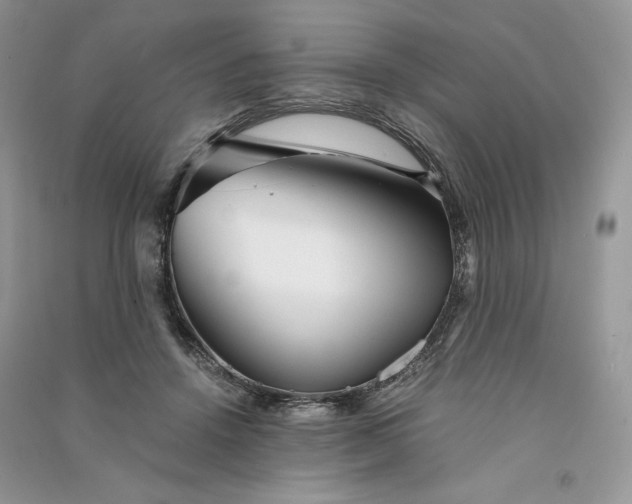 X0000090920456200708131436