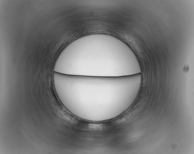 X0000090920457200708131436