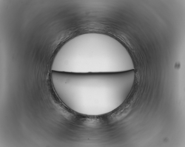 X0000090920458200708131436